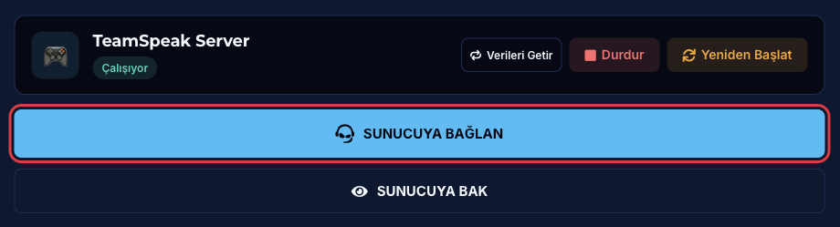 Özet sayfasındaki SUNUCUYA BAĞLAN butonu
