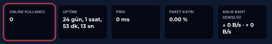 Özet sayfasındaki çevrimiçi kullanıcı, uptime, ping, paket kaybı ve bant genişliği kutuları