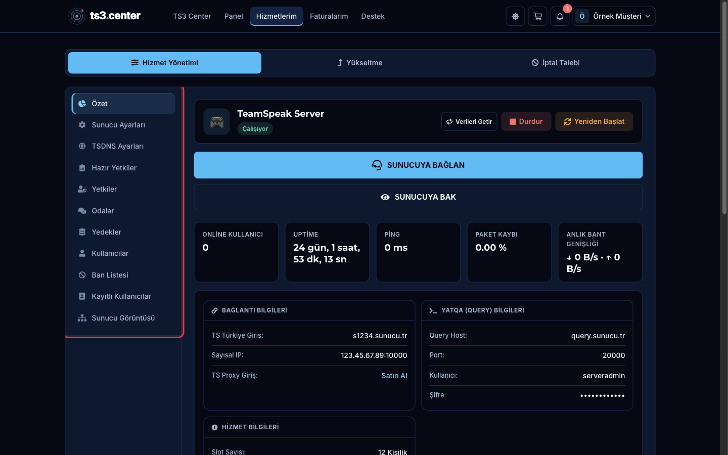 TeamSpeak sunucusu yönetim sayfası ve soldaki menü